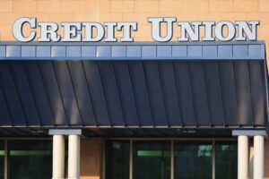 Alternatives of Credit Union Loans