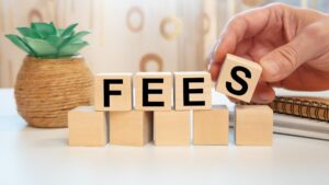 What are the Bank Fee Sources Paid by a User Annually